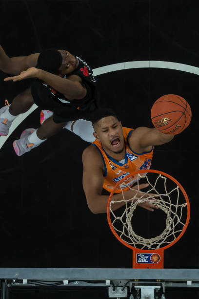 活动的组织 活动的组织