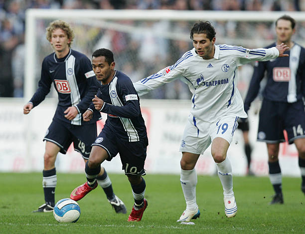 什琴斯尼的 什琴斯尼的